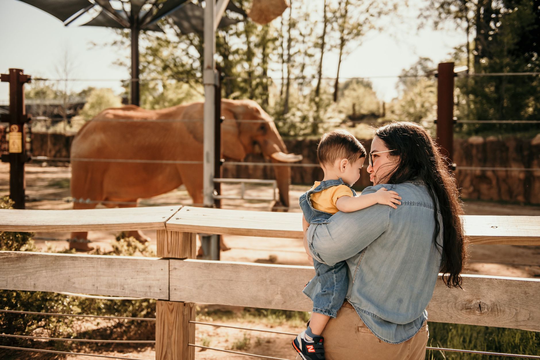 A woman holding a child watches an African elephant at the zoo on a sunny day.