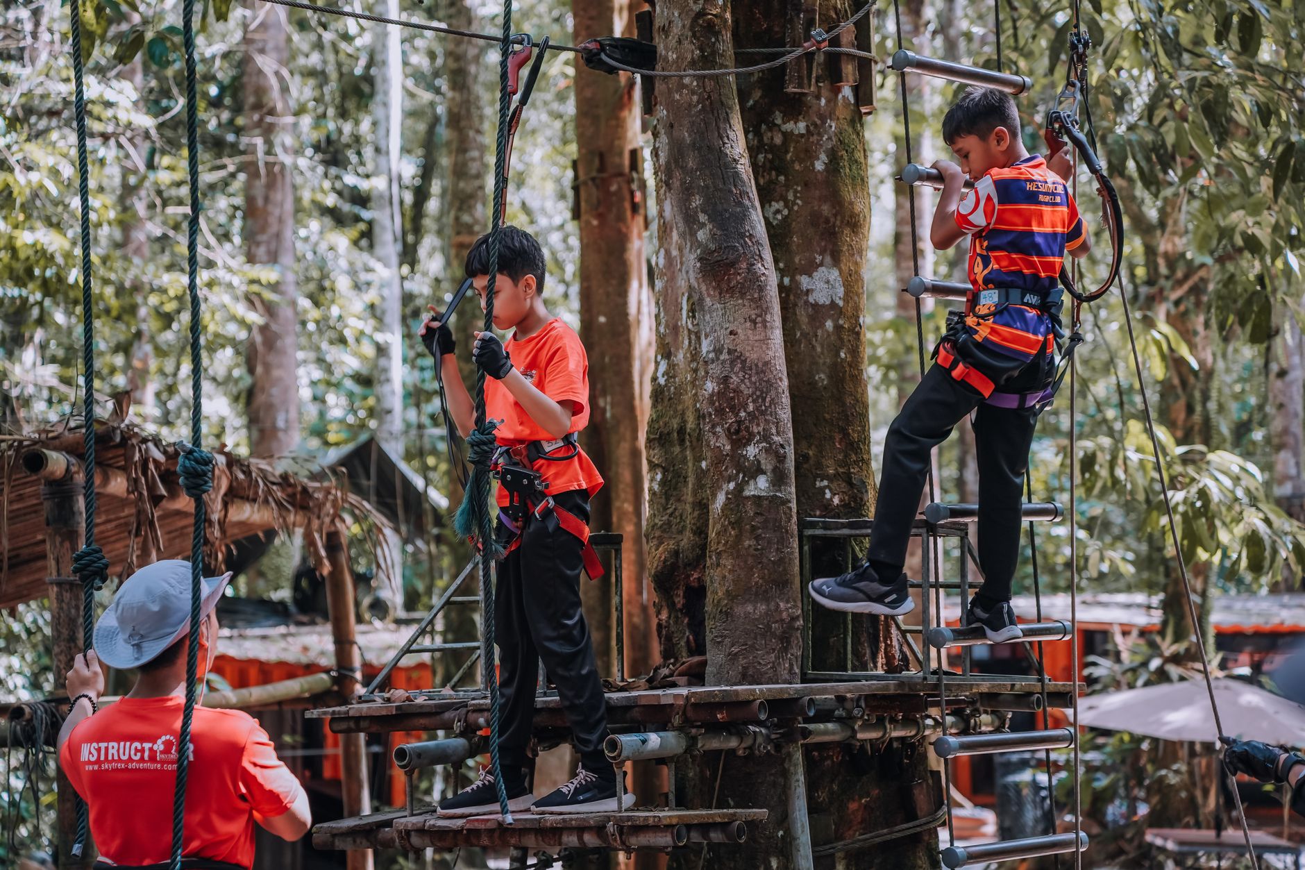 Kids in an adventure park navigating ropes and ladders amidst lush greenery for a thrilling outdoor experience.