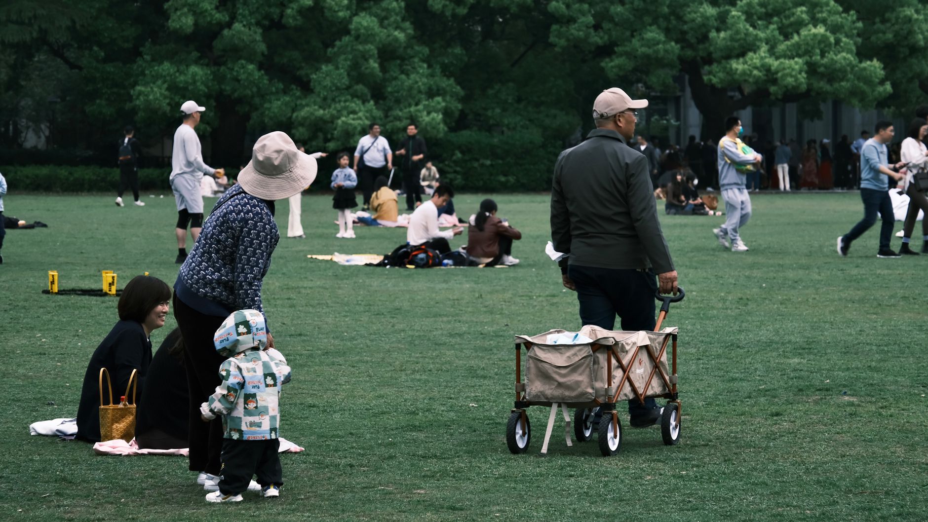 People enjoying leisure time in a green park, engaging in various activities and picnics.