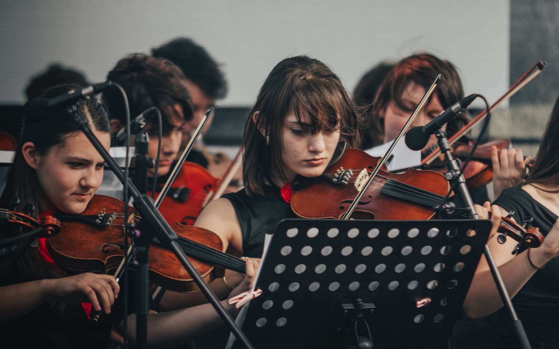 Focused young orchestra musicians performing with violins, showcasing live music talent.